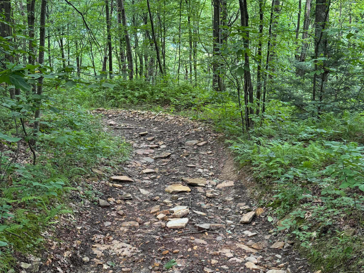 Trail 32 photo 3