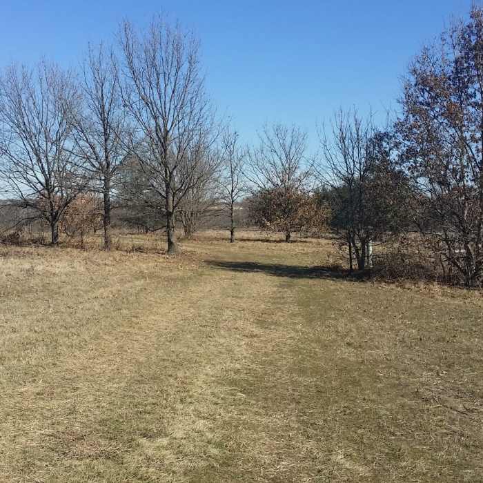 Enjoy this view from the high point in the meadow. Near Connemara Meadow Nature Preserve