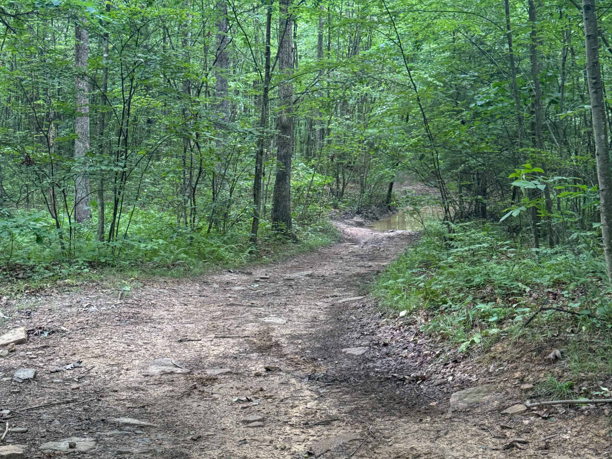 Trail 63 photo 2