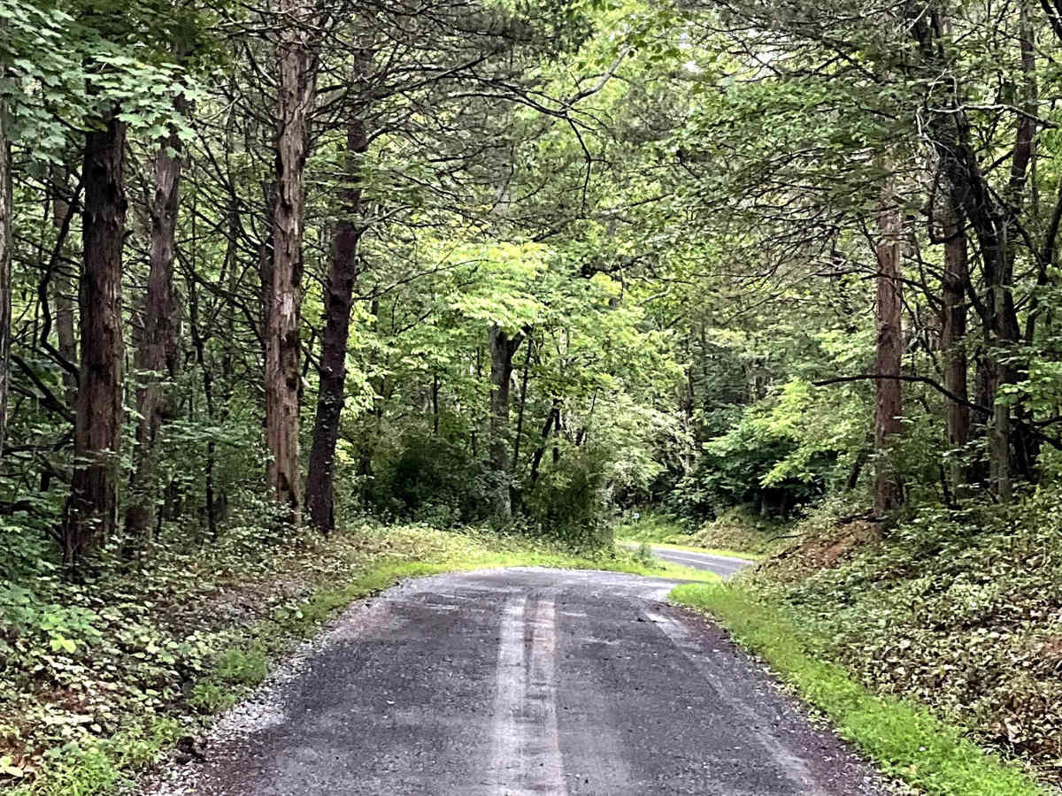 Little Dry Hollow photo 5