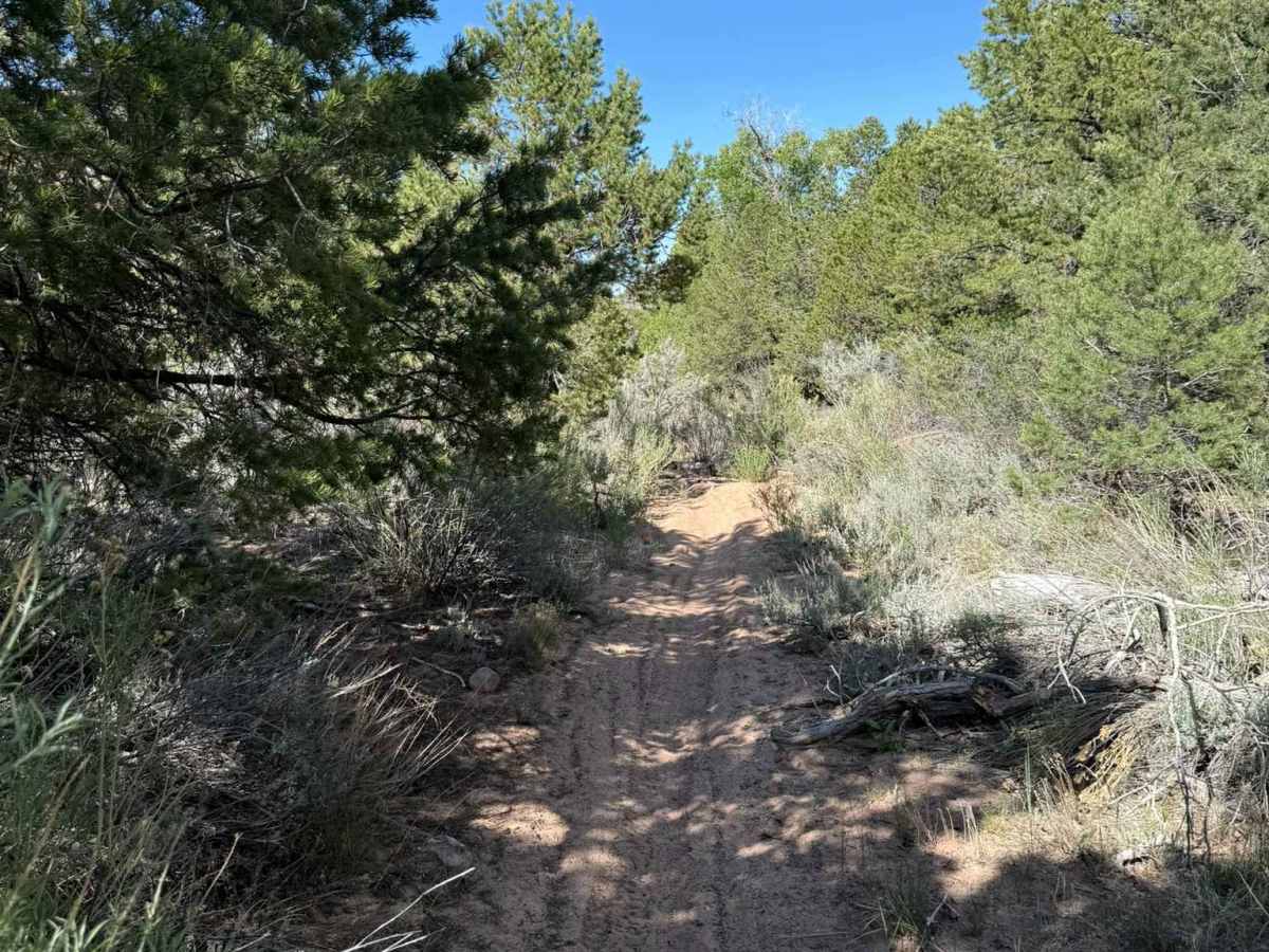 Lower Indian Creek Trail No. 021 photo 3