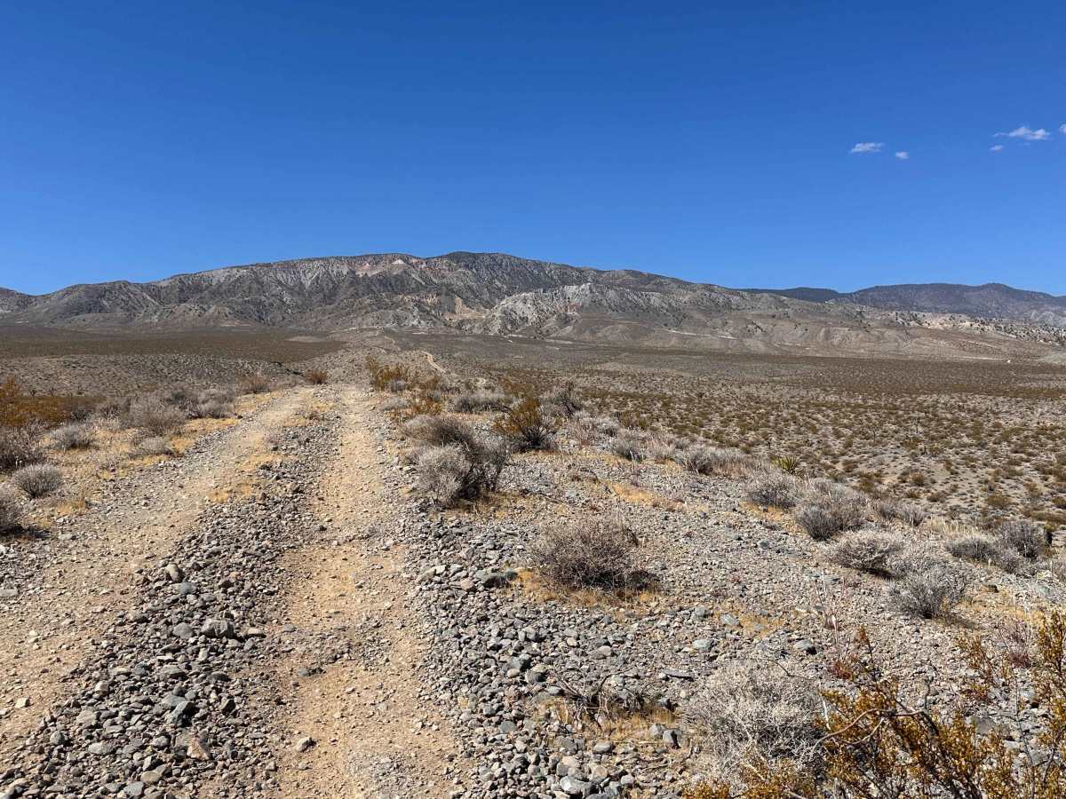 Widowmaker Gulch photo 2