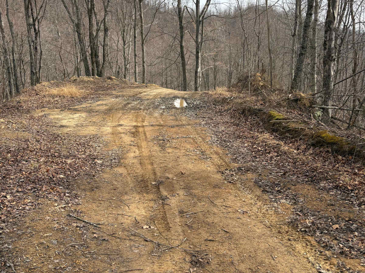 Trail 5 photo 4