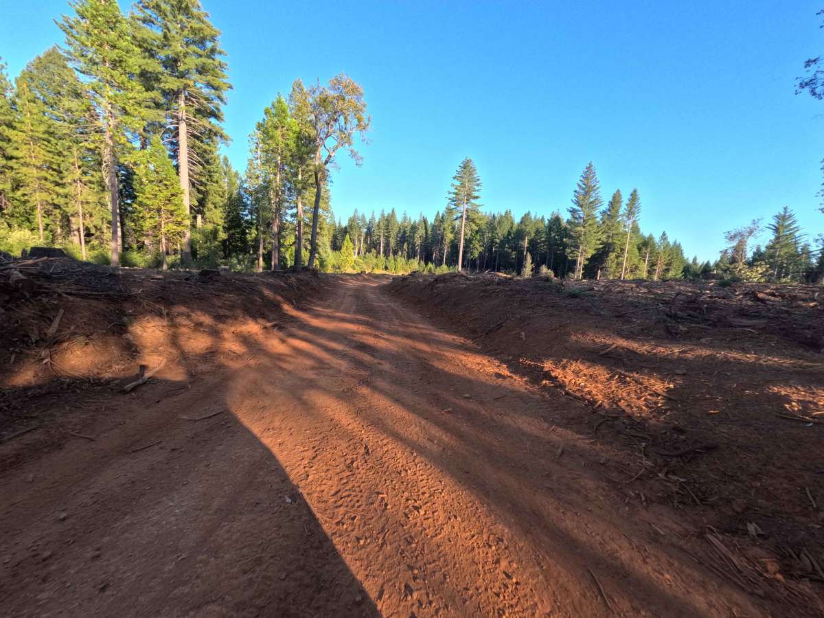 Weed Point - FS 20N14 photo 6