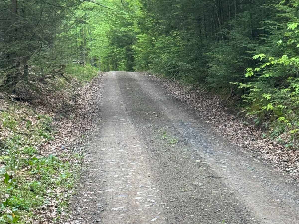 Spring Brook Loop photo 2