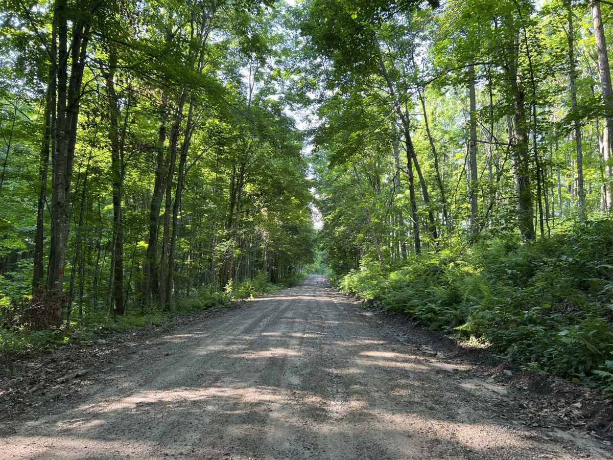 Brady Lake Road photo 2