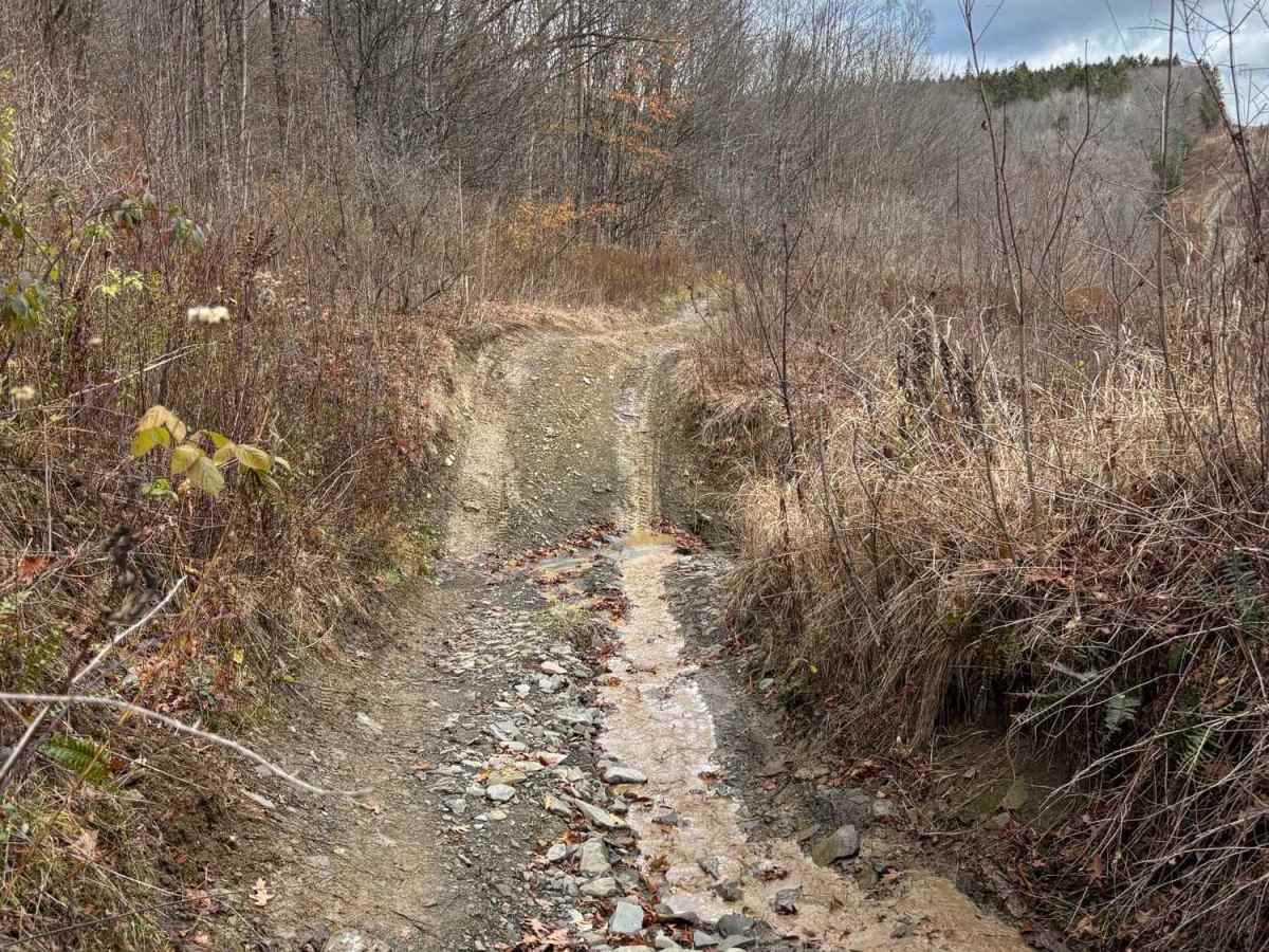 Morgan Hill Power Line Trail photo 4