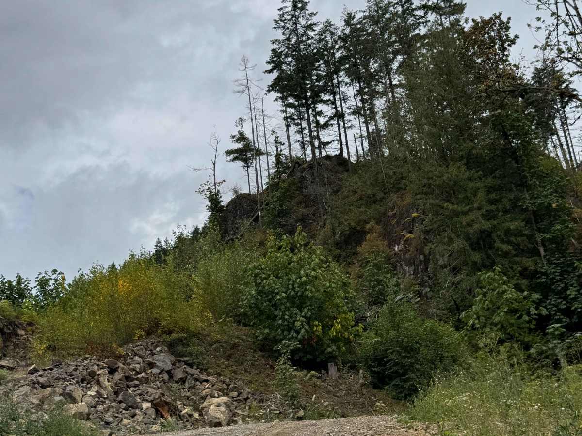 Francis Lake Back Entry trail photo