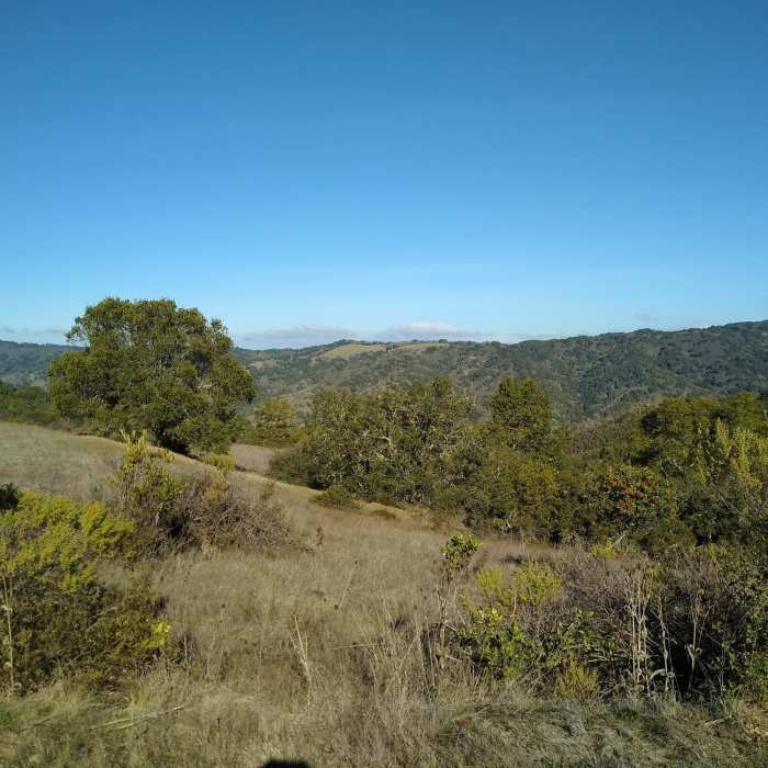 Near Merry-Go-Round Loop