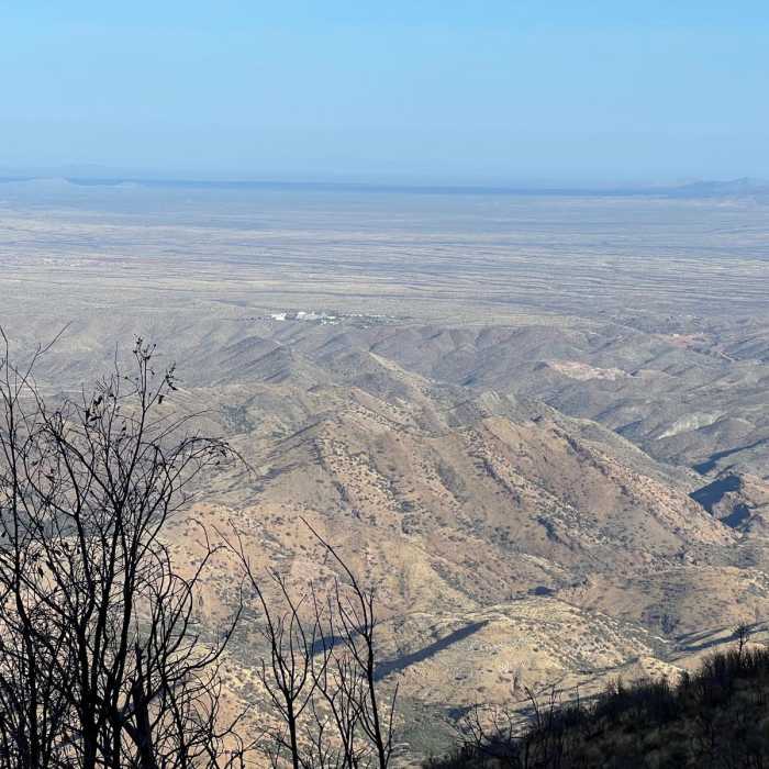Near Arizona Trail Passage 12: Oracle Ridge