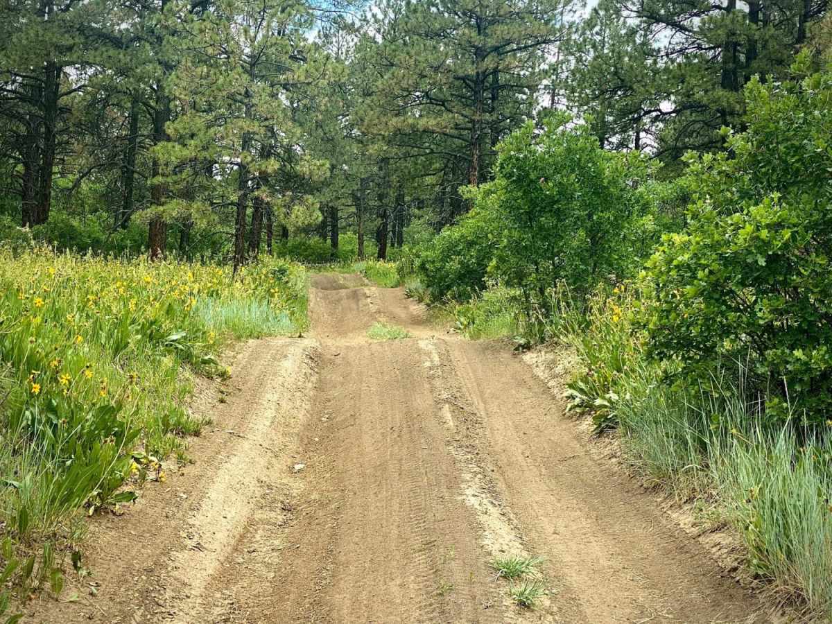 Eight Mile Mesa E-USFS Rd #651E photo 3