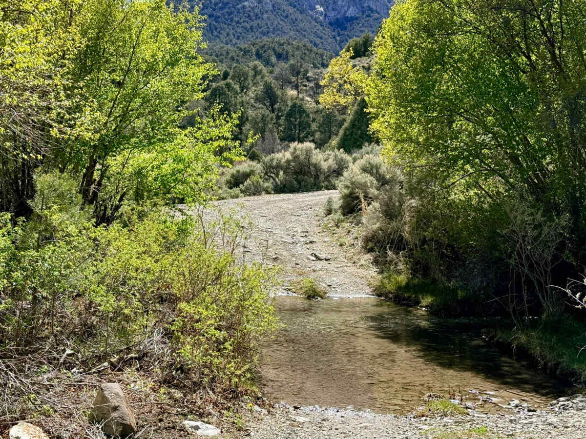 Bowman Creek FS43307 photo 2