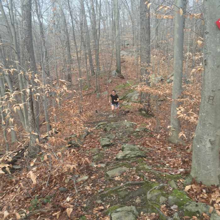 Near Red Trail