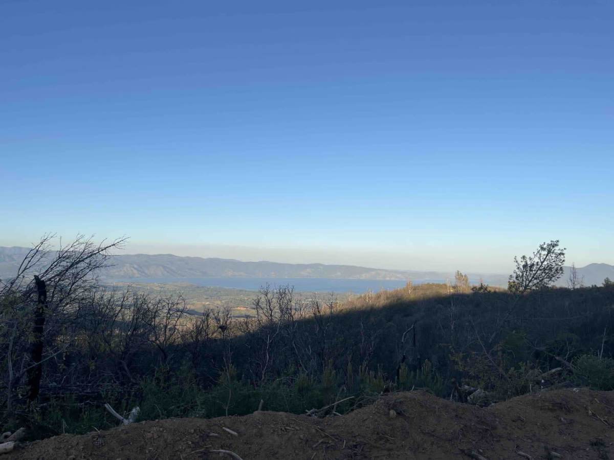 Mendo-Lake Road photo 4