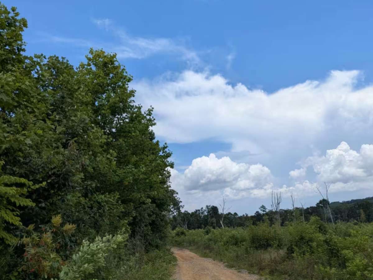 Richie Point Road trail photo