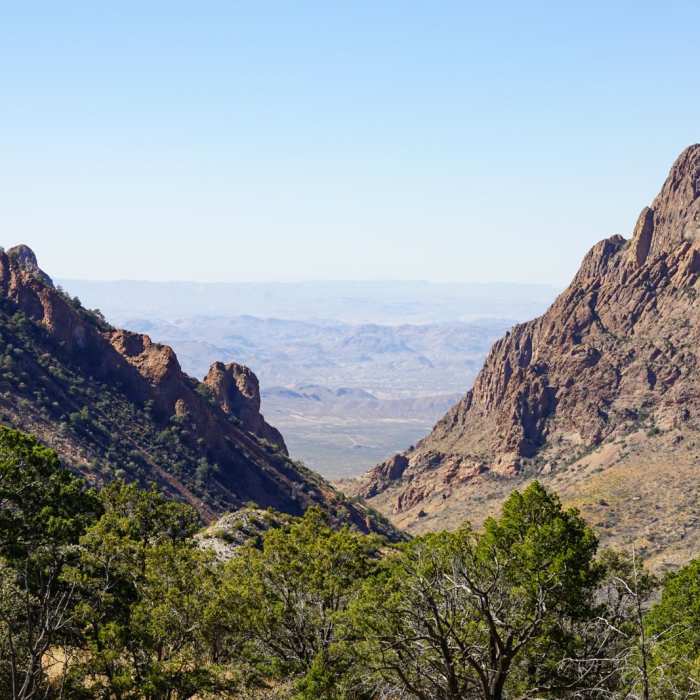 Near Chisos Basin Loop