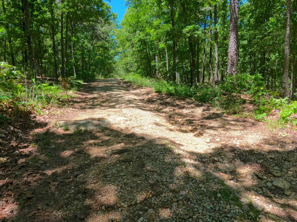 West Cane - FS 3759 photo 2
