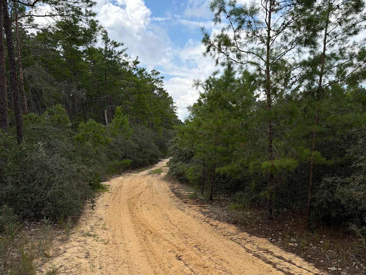 FS 13.3-6A trail photo