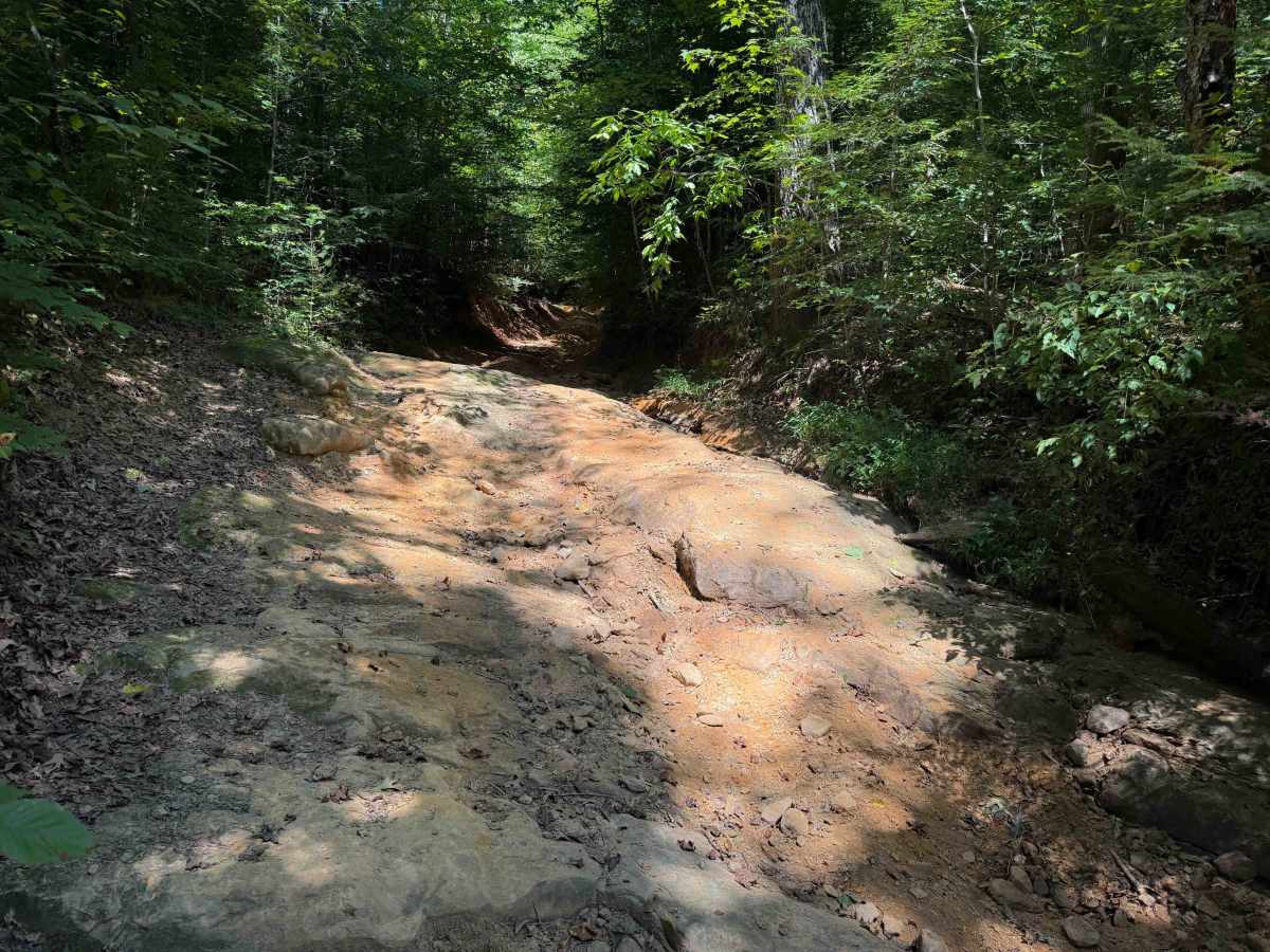 Bull Creek Settlement 17   photo 3