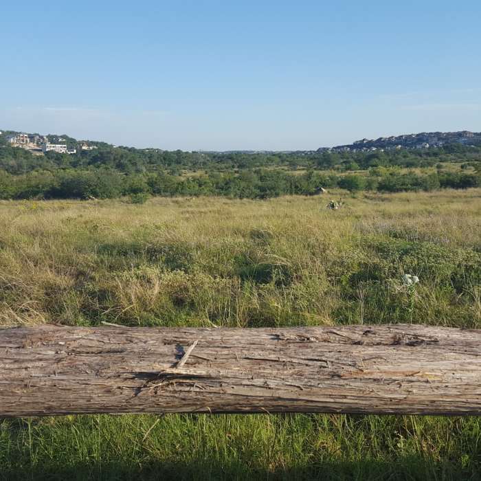Near Stone Oak North Loop