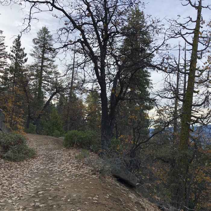 Near Deer Camp Road