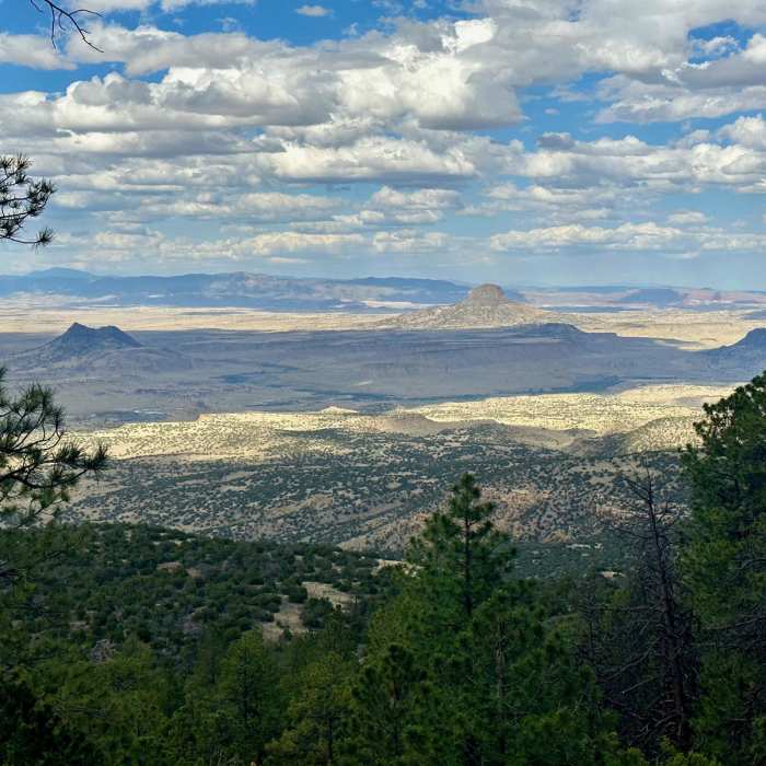 Near CDT: New Mexico Section 23