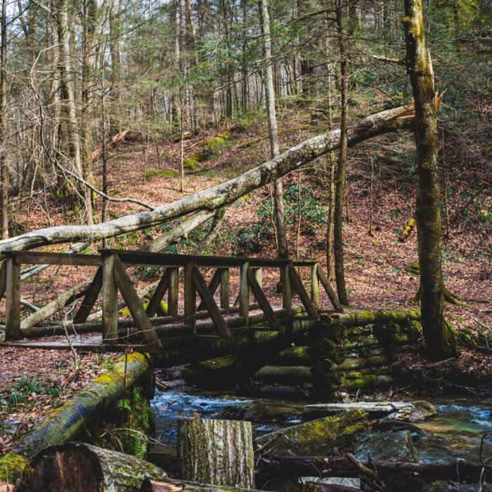 Near Whittleton Arch via Whittleton Branch Trail Near Whittleton Arch via Whittleton Branch Trail