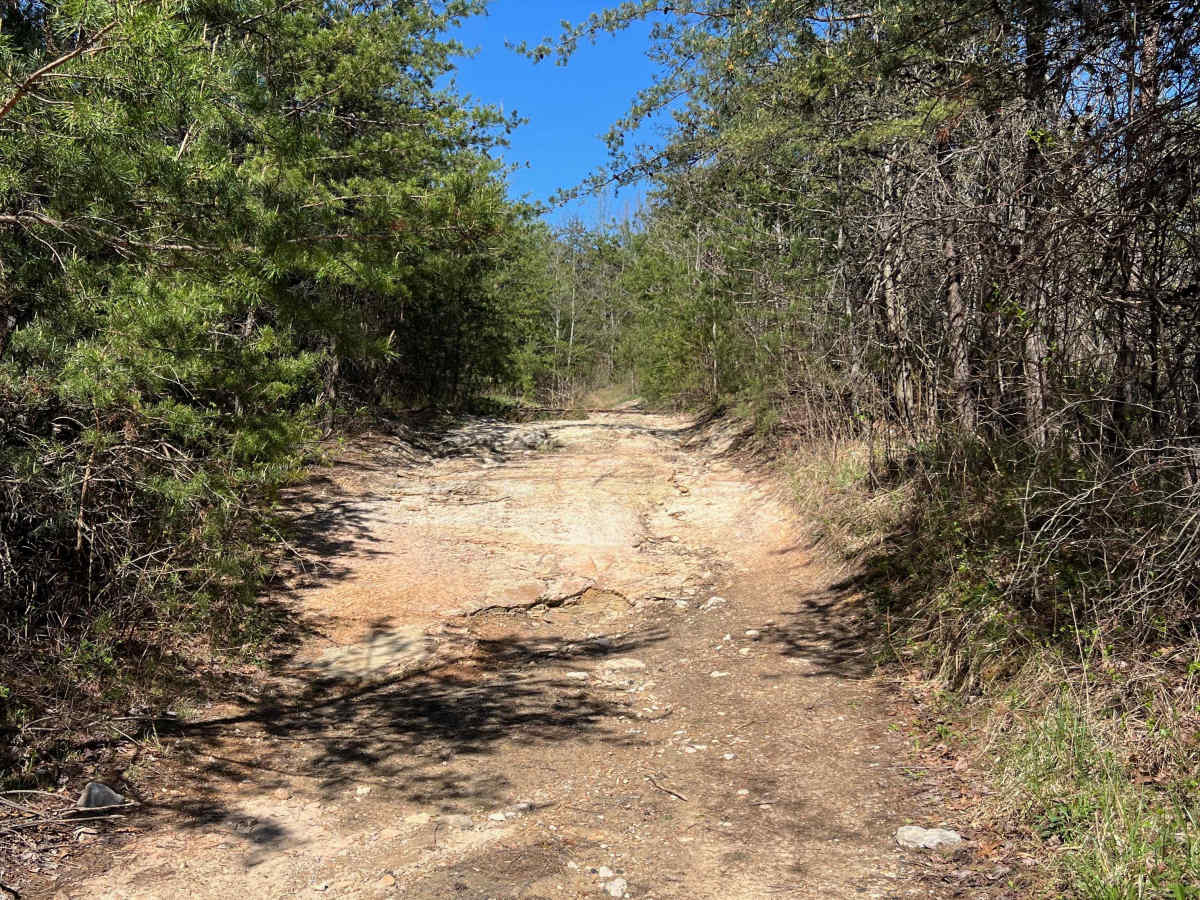 Q36 photo 4