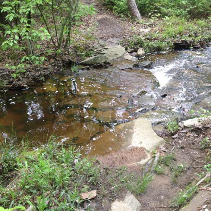 Near DeSoto Park Never Never Land Loop