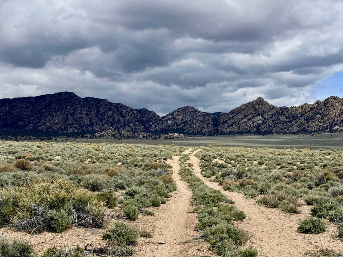 Baxters - FS 44132 trail photo