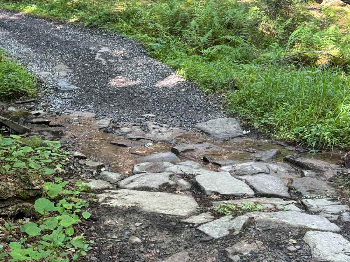 CCC Trail photo 4