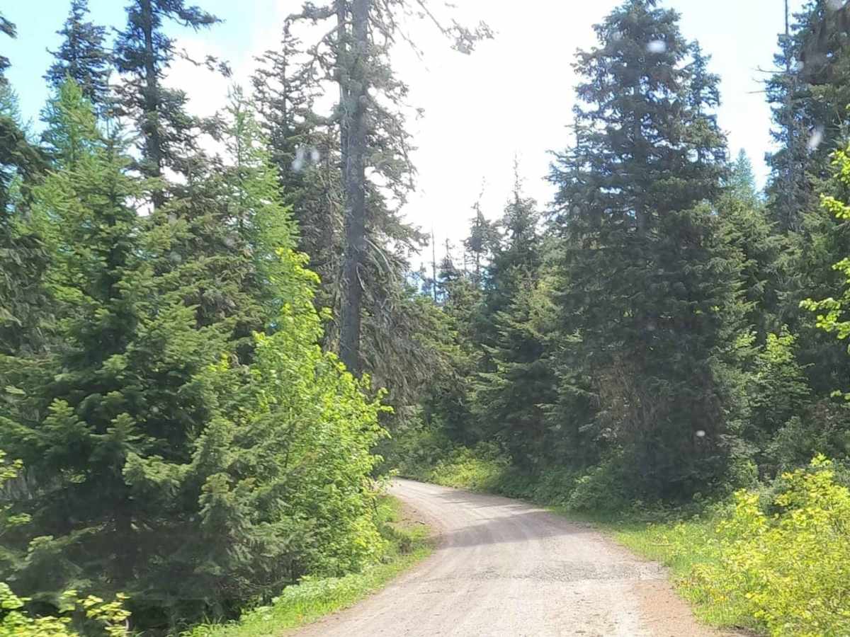 South Cle Elum Ridge - NF3350 photo 4