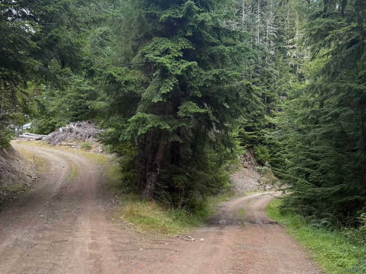 FS 2170000 trail photo