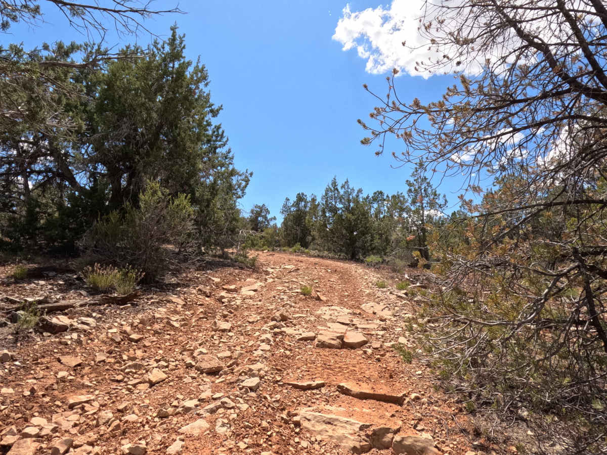 BLM 46H photo 3