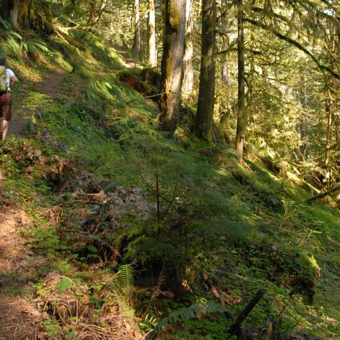 Near Hunchback Mountain