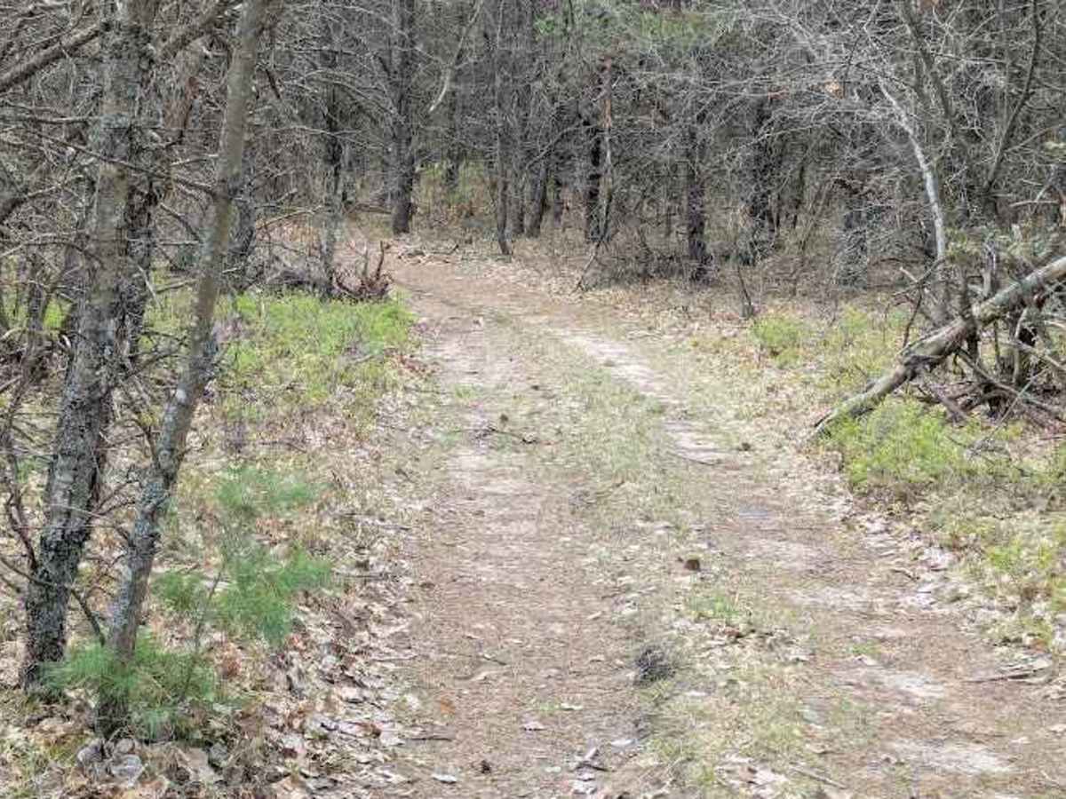 Reserve Loop photo 2
