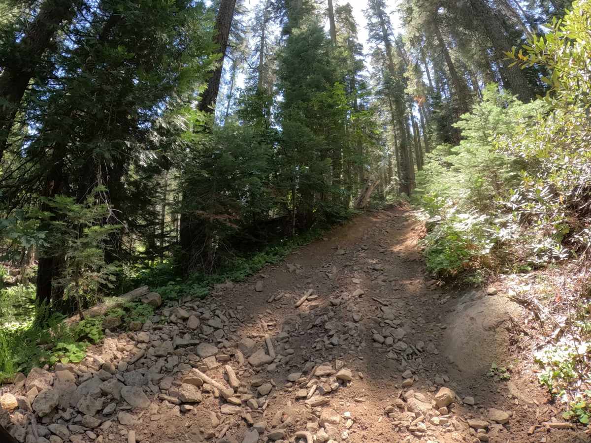 Mc Gilvery Creek - FS 6S036 trail photo