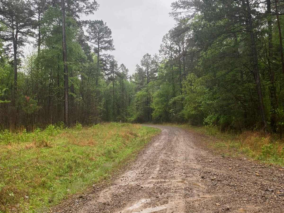 Shoal Creek  - FS 1604 photo 5