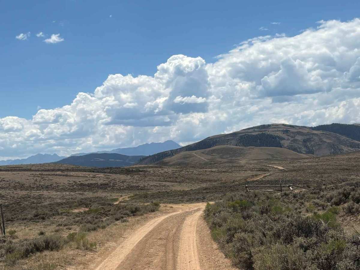 North Red Mountain Trail trail photo