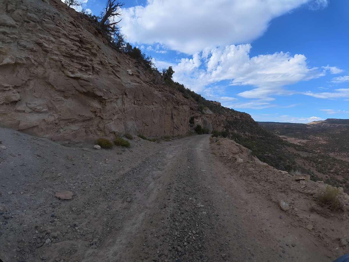 BLM 31 photo 2
