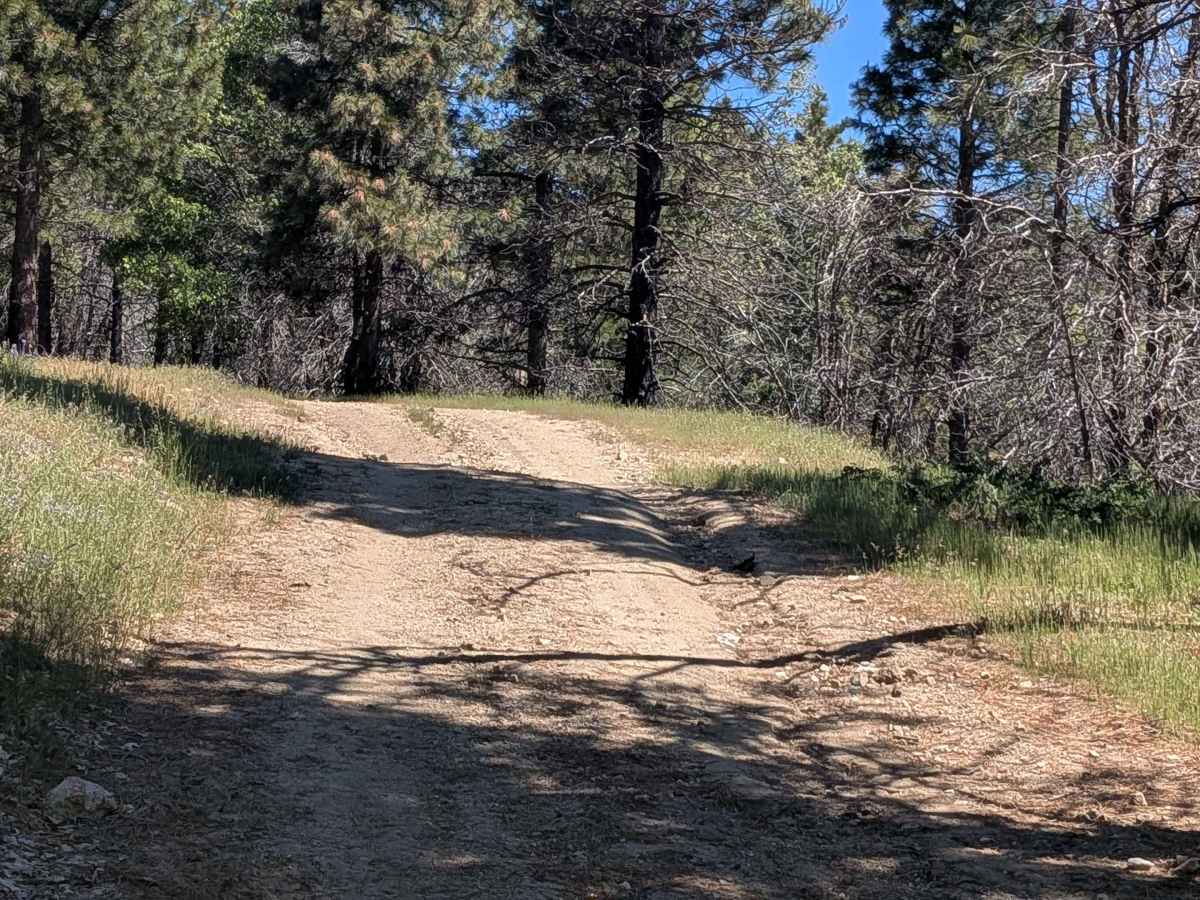 Little Poso Creek - FS 26S12 photo 5
