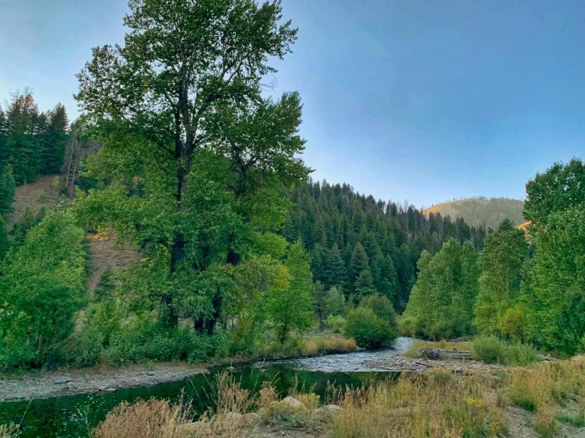 Frenchman's Warm Creek Trail photo 6