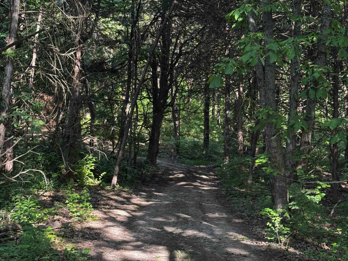Inner Track 3.2 trail photo