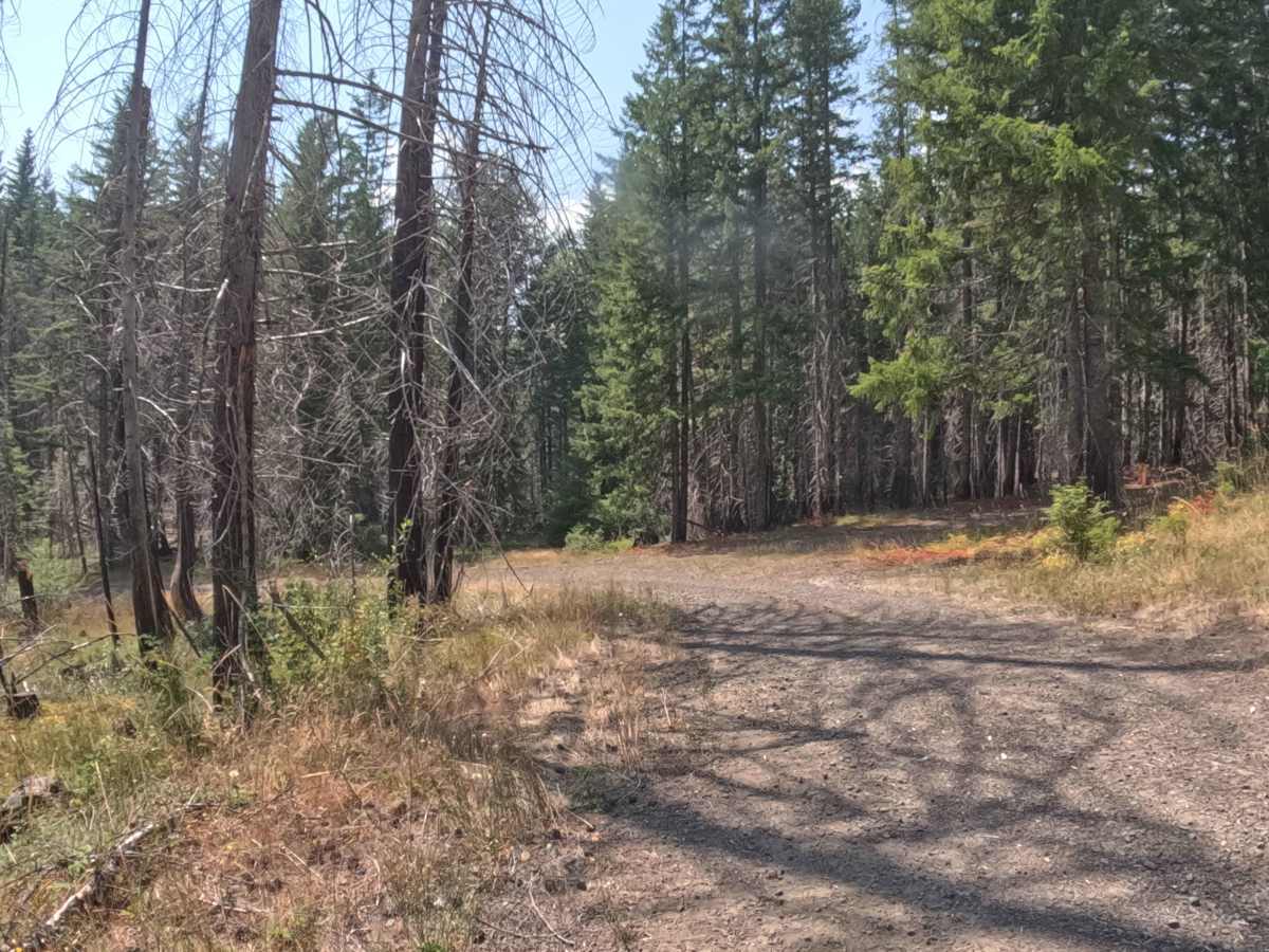 Divide Creek - FS 1011000 trail photo
