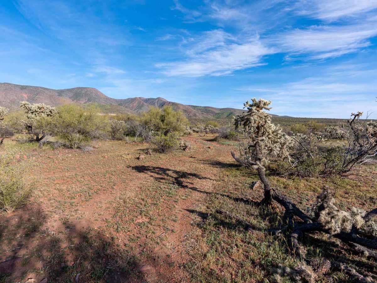 FS 1424 trail photo