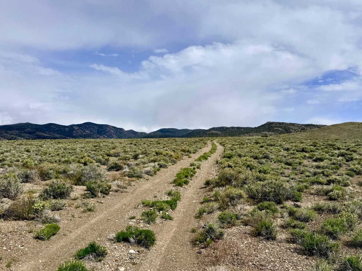 Transmission Line Tie Road - FS 44526C photo 6