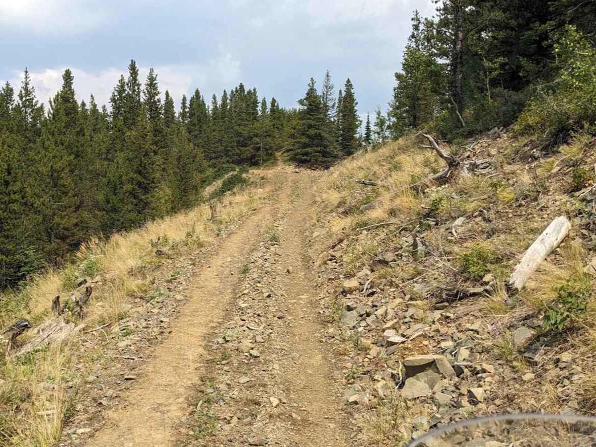 Wintering Mountain Trail 229 photo 4