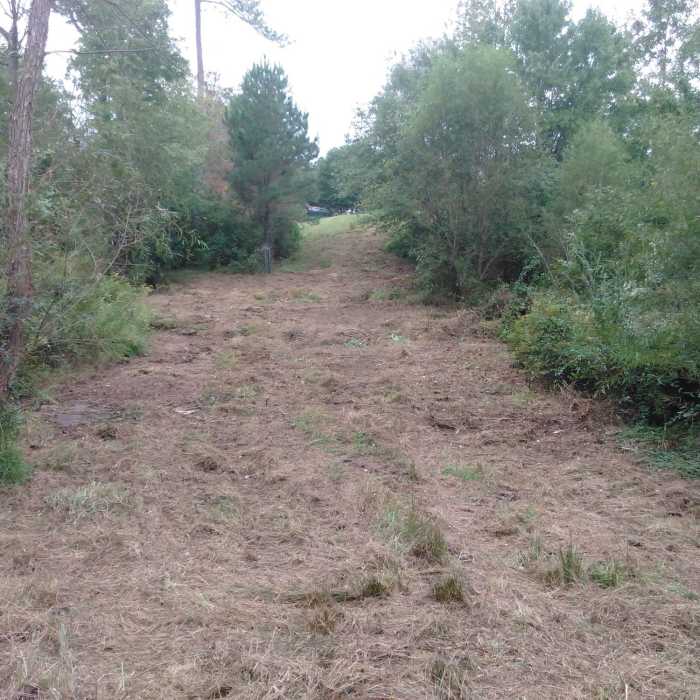 Near American Tobacco Trail