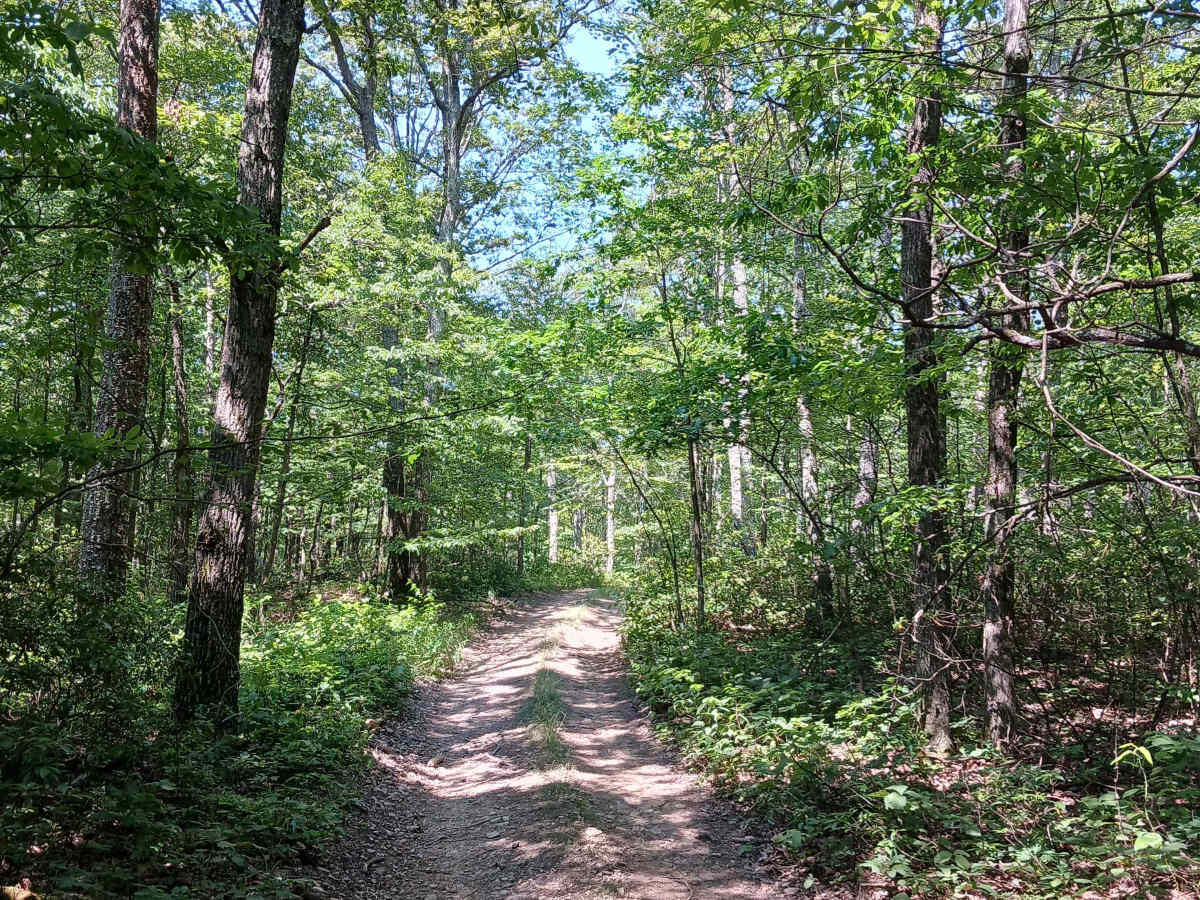 Fern Way - Rock Run Recreation Area photo 3