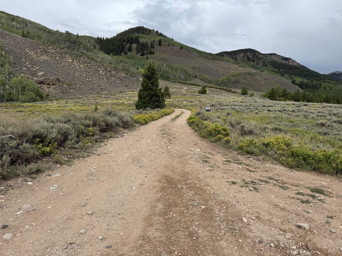 Ranch Creek Road trail photo